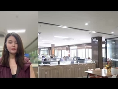 25 มิลลิเมตร ยูทราซอนิกสโนว์ริบบอนสําหรับต้นคริสต์มาส สีทองเงิน