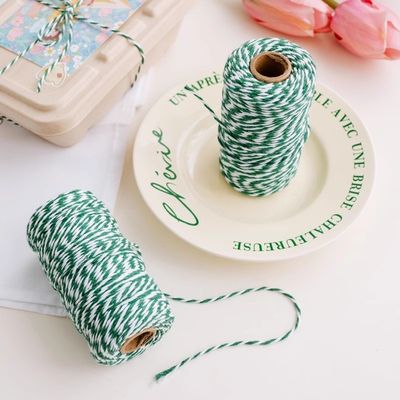 DIY 2 สาย สายบิด 550 ปอนด์ 2 มิลลิเมตร