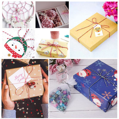 DIY 2 สาย สายบิด 550 ปอนด์ 2 มิลลิเมตร